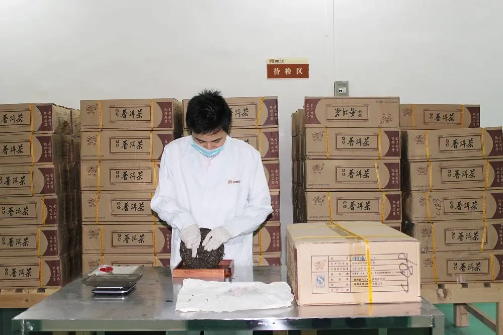 广州普洱茶检验展示